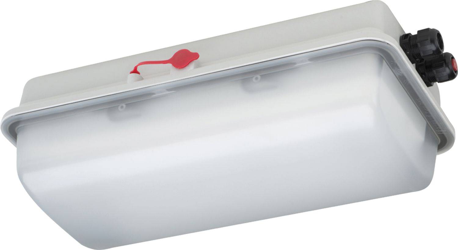 (obrázek pro) LED světlo 2x 58 W pro Ex prostředí s vypínačem zvenku na kontejner