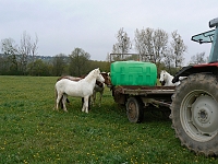 Plastový sud pro pastviny obdélníkový, zelený, 600 l
